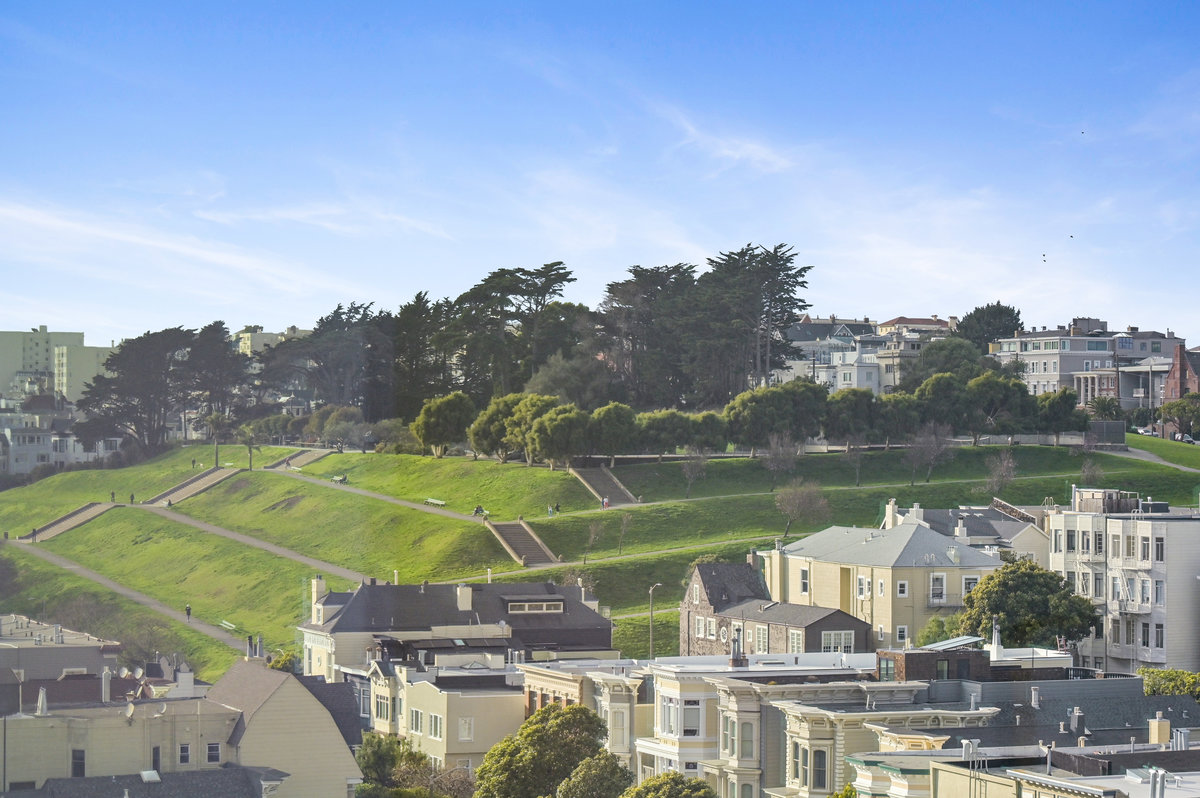 Zoomed view of Alta Plaza Park as seen from great room and primary suite